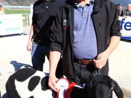 2019_ausstellung polling_582